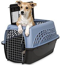 Petmate Two Door Top Load Pet Kennel Review Petmate Two Door Top Load Pet Kennel