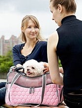 Argo by Teafco Pet Carrier Review Argo by Teafco Petagon Airline Approved Pet Carrier