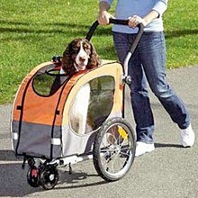 Which Pet Strollers for Medium Dogs Are the Best? Best Dog Strollers for Medium Dogs