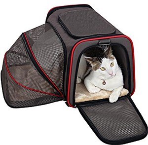 View of What's the Best Cat Carrier with Wheels (for Anxious Pets!)