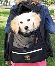 Buying the Very Best Dog Backpack Carrier Has Never Been Easier Dog Backpack Carrier