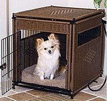 Must-Know Information About Buying Dog Crates for Nervous Dogs Dog Crates for Nervous Dogs