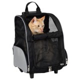 Beautiful view of Cat Carrier Packing Strategies For Anxious Owners
