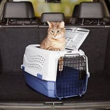 Best carrier options in humanities