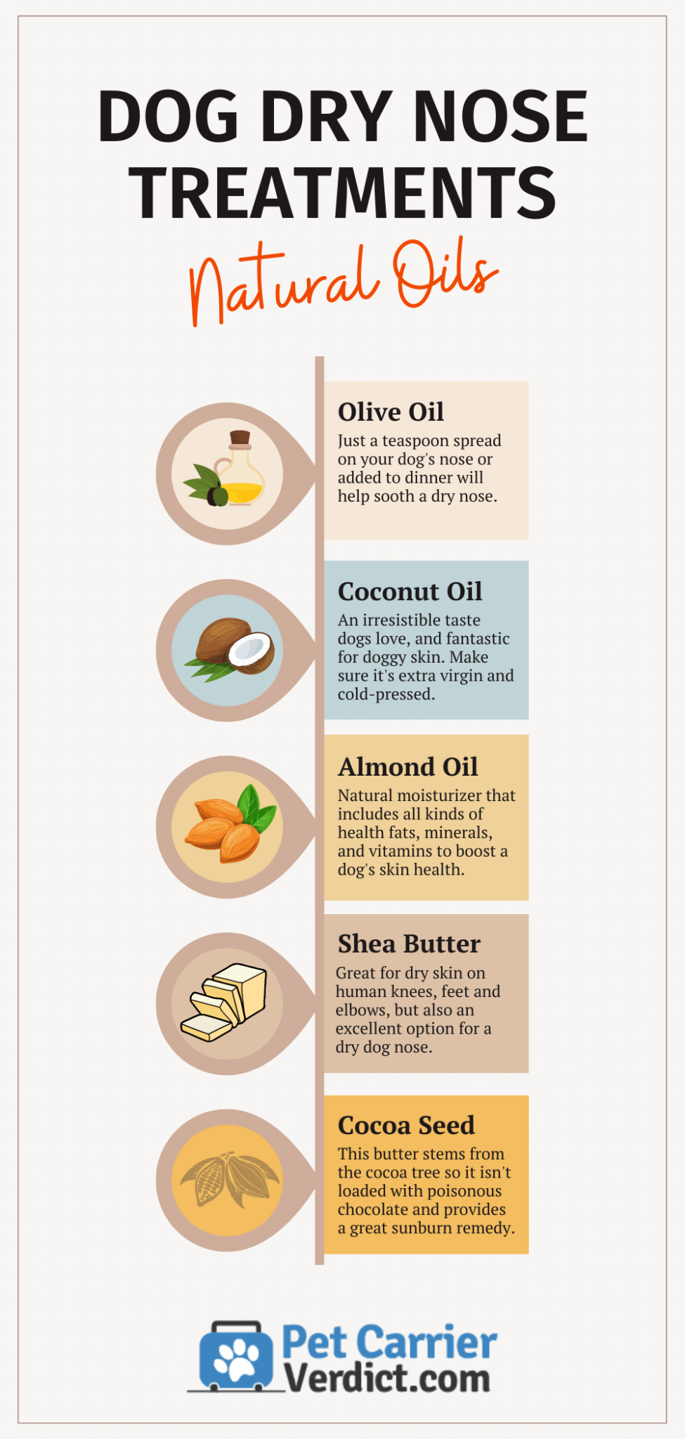 Dog's Nose is Dry and Cracked — Is Vaseline Safe for Dogs?