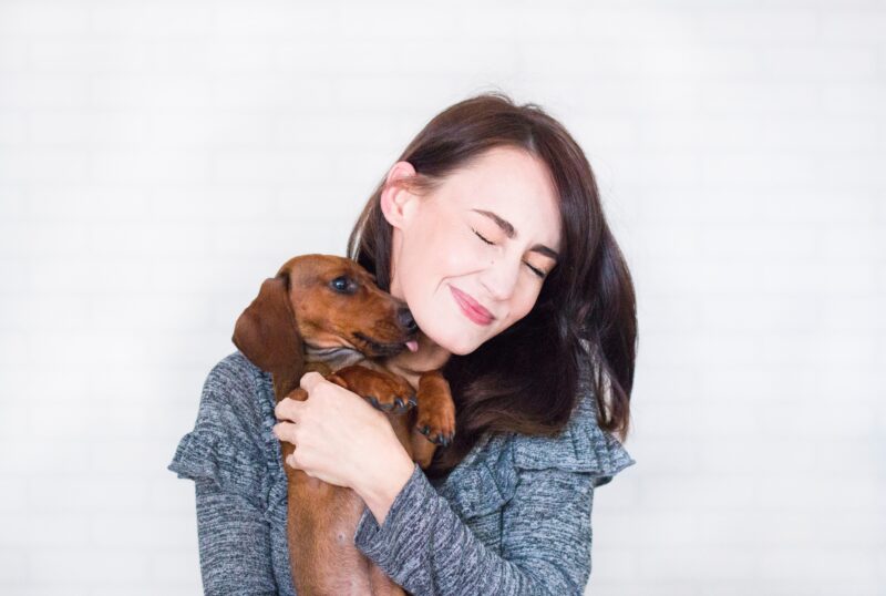 Best Blogs For Dachshund Owners
