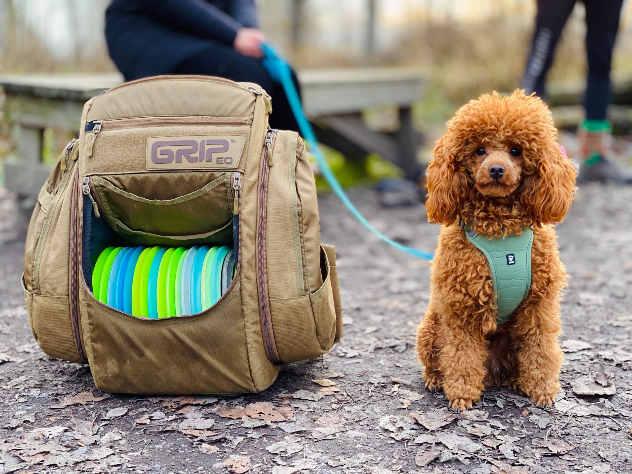 What You Need To Know About Flying With A Pet — Dog Carrier For Plane
