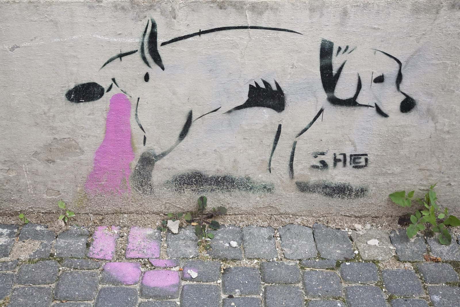 Behavioral Reasons For A Dog Not Peeing — Why Won't My Dog Pee!