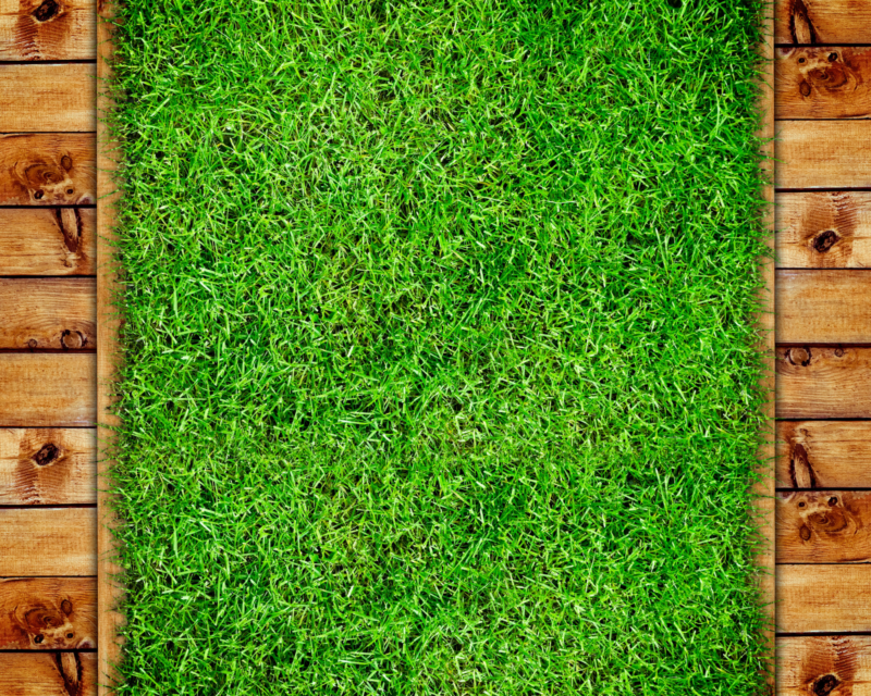 All About Dog Grass Pee Pads — Pet Carrier Verdict