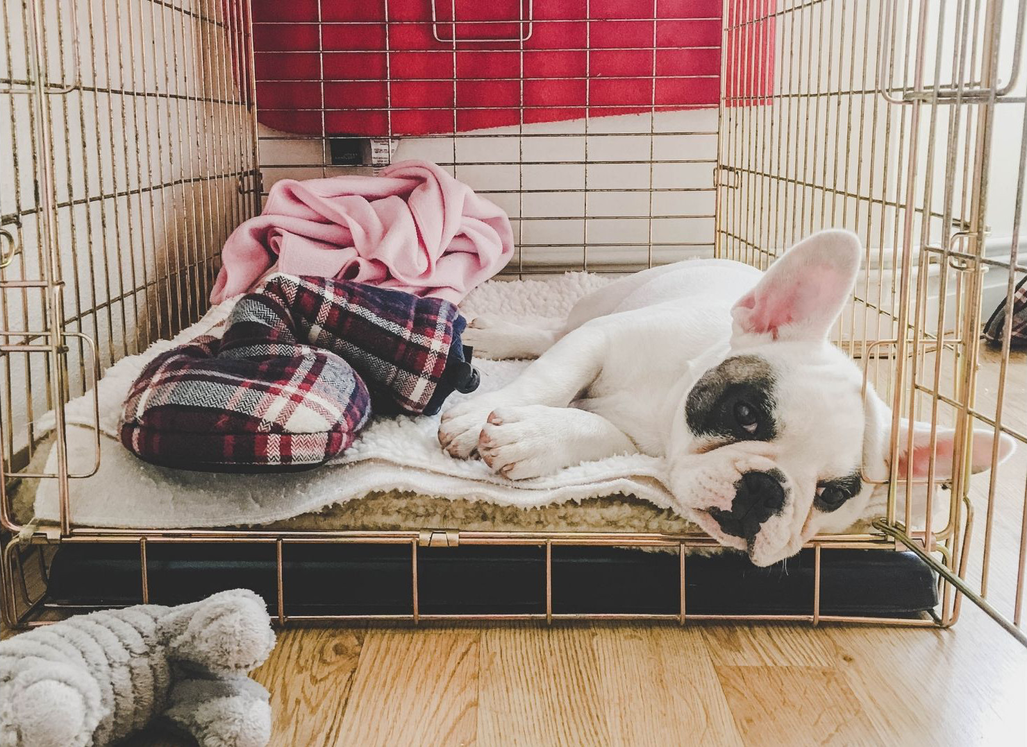 wire dog crate covers