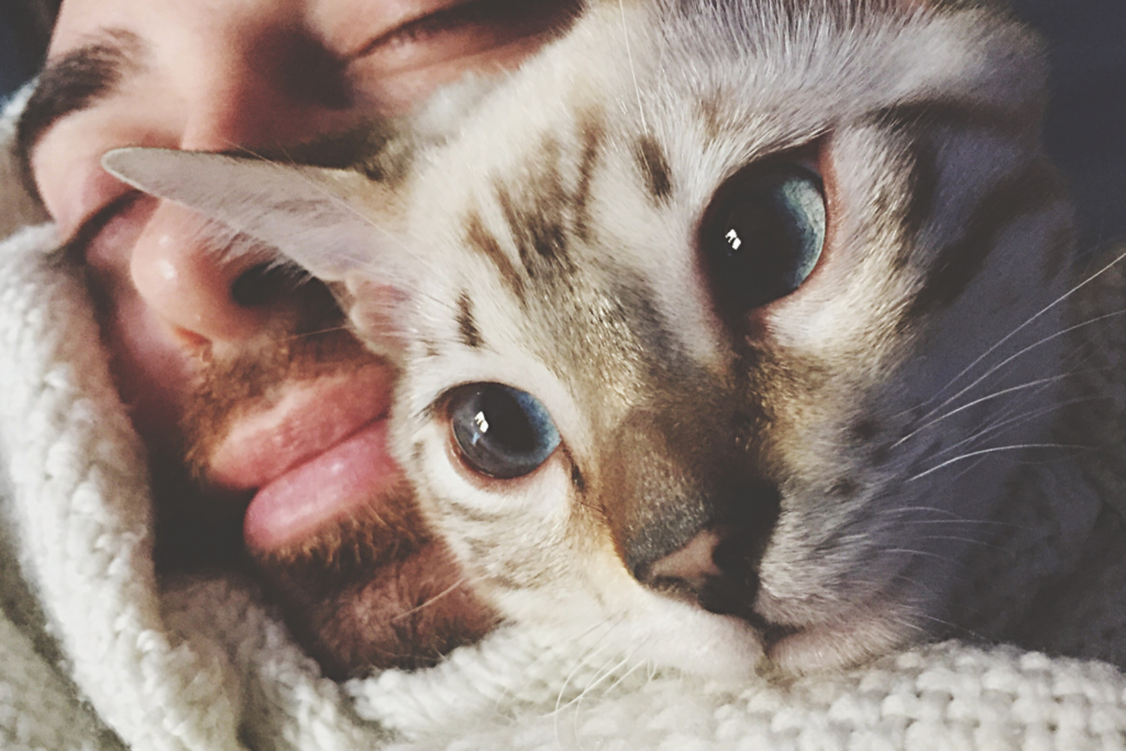 Why Do Cats Sleep on Your Head — Reasons Why and How to Stop Them