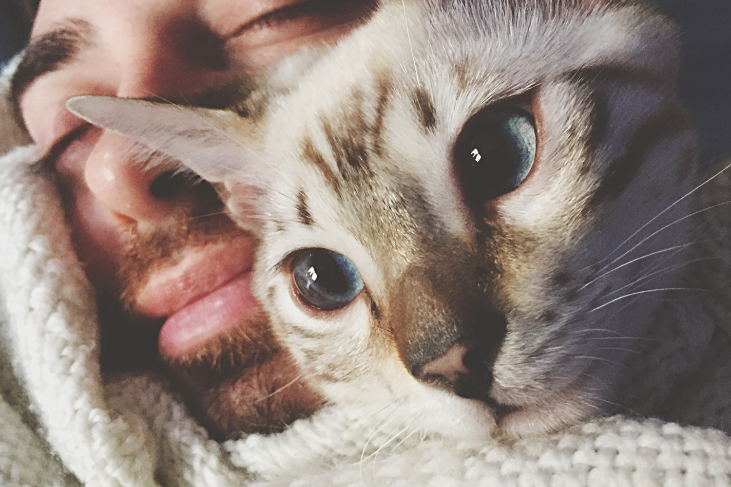 Why Do Cats Sleep on Your Head — Reasons Why and How to Stop Them