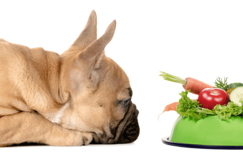 Can Dogs Eat Tomatoes? — Are Nightshade Plants Bad For Dogs?