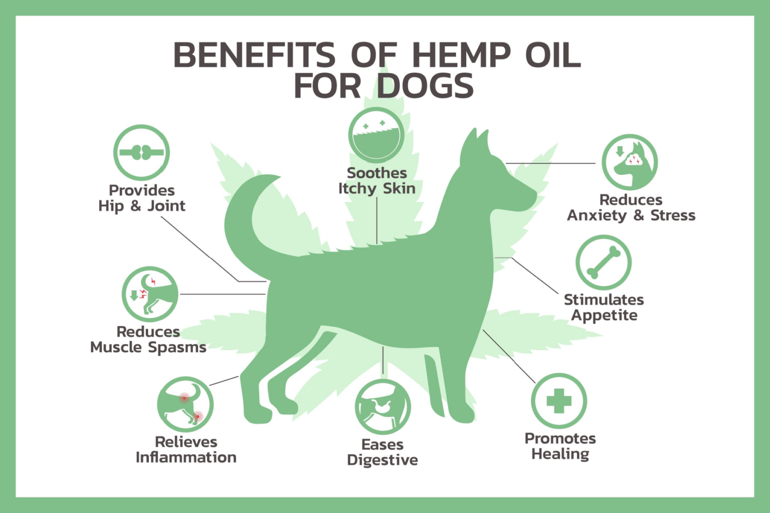 Benefits Of Hemp Oil For Dogs Benefits Of CBD For Dogs — Pain, Anxiety, and Seizure Control