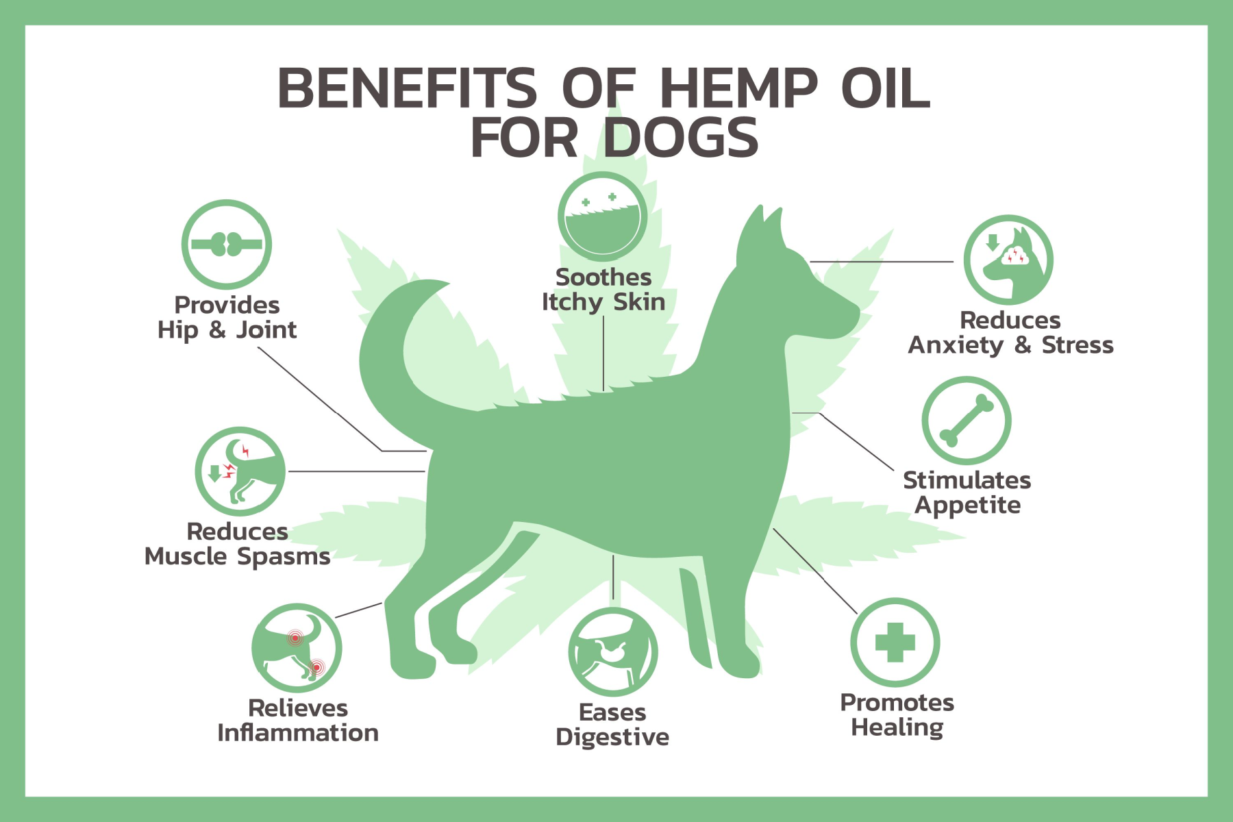 Side Effects Of Hemp Oil For Dogs Benefits Of CBD For Dogs — Pain, Anxiety, and Seizure Control