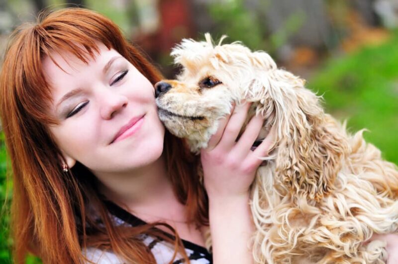 How To Get Rid Of Dog Smell — Pet Carrier Verdict